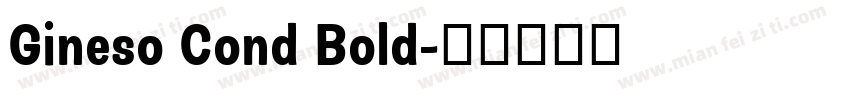Gineso Cond Bold字体转换
